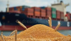 Why are cargo ships and air travel major spreaders of invasive pests?